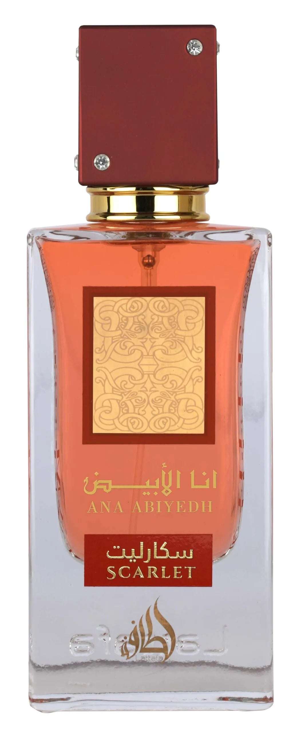 ANA ABIYEDH SCARLET - Image 2
