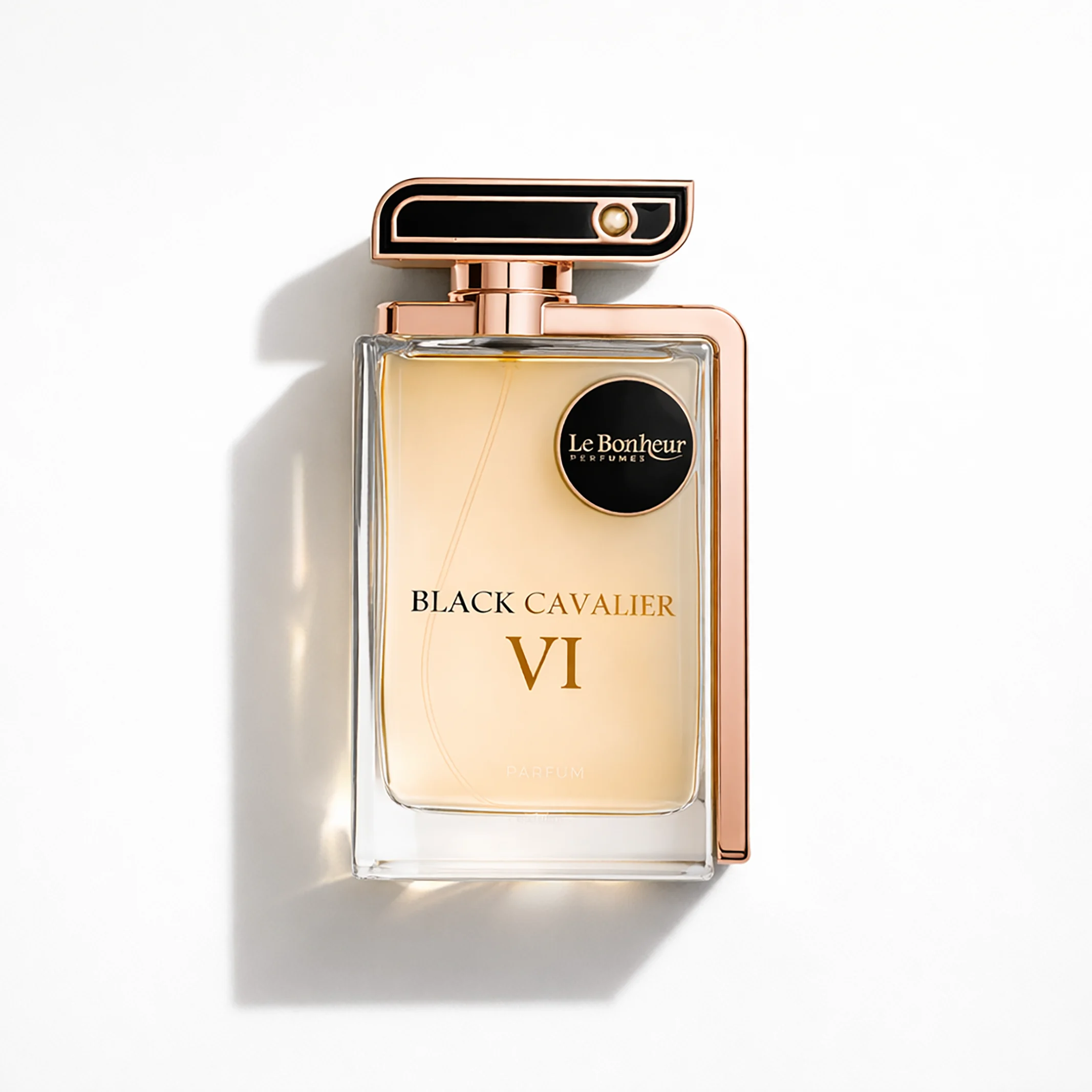 BLACK CAVALIER VI